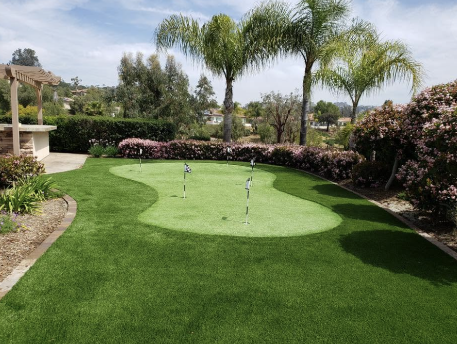 Backyard putting green with fringe turf, palms and a pergola