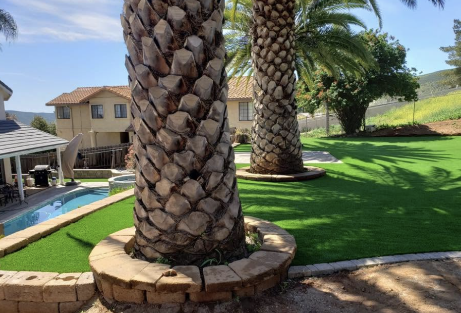 Stone tree rings around palms with artificial turf and a pool beyond